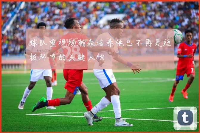球队重视杨瀚森培养他已不再是短板环节的关键人物